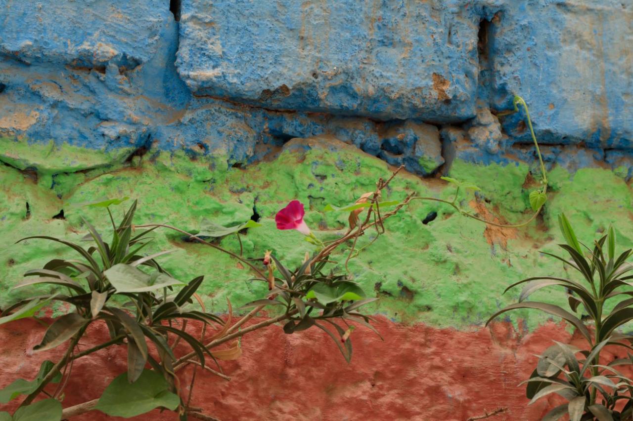 Riad Maryam Tarudante Exterior foto